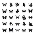 Butterfly Rare Species Glyph Icons