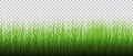 Detailed seamless green grass vector background