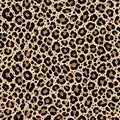 Classic Seamless Leopard Skin Pattern Background Royalty Free Stock Photo