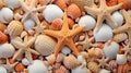 Detailed seashell backdrop texture. A close-up of coral, starfish, and colorful seashells in various forms