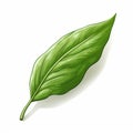 Detailed Shading Illustration Of Leaf With Tropical Symbolism