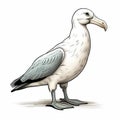 Detailed Shading Portrait Of Comic Seagull Or Goose