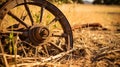 Detailed shot of antique plow wheel