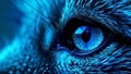Detailed shot of blue fox eye