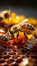 Detailed shot captures worker bees collecting nectar beehive alive with diligent activity