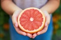 Detailed shot capturing a child\'s hands grasping a large, fully ripe grapefruit. AI generated.