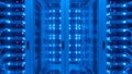 Data Center Server Room Network Infrastructure, Blue Lights Royalty Free Stock Photo