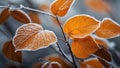 Detailed Shot of Frosted Autumn Leaves with a Subtle Background Blur. AI Generated