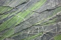 detailed shot of green slate with unique mineral patterns Royalty Free Stock Photo