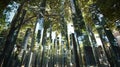 A detailed shot of a kinetic sculpture composed of strategically p mirrors. The reflective surfaces capture and distort