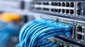 A detailed shot of network servers connected with blue ethernet cables, close up view. Royalty Free Stock Photo