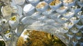 A detailed shot of a pavilion with a lightweight canopy made of adaptive material that mimics the movement and structure