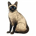 Detailed Siamese Cat Drawing In Dark Beige And Dark Azure