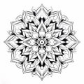 Detailed Sketching: Black And White Floral Mandala Coloring Page