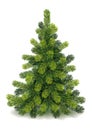 Detailed Small Christmas Tree Royalty Free Stock Photo