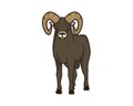 Detailed Standing Bighorn Sheep Illustration