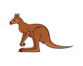 Detailed Standing Kangaroo Illustration the Indigenous Fauna to Australia