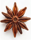 Detailed Star Anise Spice Close Up on White Background for Culinary Use Royalty Free Stock Photo