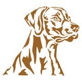 Rhodesian Ridgeback Dog Face Printable Stencil Art Royalty Free Stock Photo