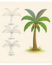 A detailed, step-by-step drawing tutorial of a palm tree, set against a warm, off-white background. Royalty Free Stock Photo