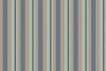 Detailed striped textile pattern in muted hues. Versatile backdrop for graphic design, web templates, or print projects needing a Royalty Free Stock Photo