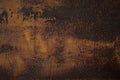 Detailed structure of rusty metal. Iron texture Royalty Free Stock Photo