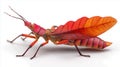 Leaf Insect Bug Exotic Red Orange. Royalty Free Stock Photo