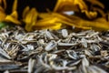 Detailed sunflower peels and blurred sunflowers on the background Royalty Free Stock Photo