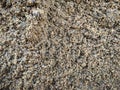 Detailed texture of coarse sand, top view.