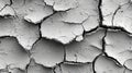 Detailed Texture of Cracked White Paint on Surface with Subtle Grey Background Royalty Free Stock Photo