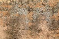 Detailed texture of crumbling old brown mud wall Royalty Free Stock Photo