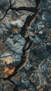 Detailed texture of hardened lava