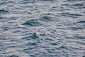 Detailed Texture Of Sea Water