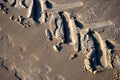 Detailed tire tracks on a beach Royalty Free Stock Photo