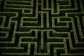 detailed top view of a maze