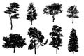 Detailed tree silhouettes. Set of black trees in silhouettes isolated on white background Royalty Free Stock Photo