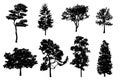 Detailed tree silhouettes. Set of black trees in silhouettes isolated on white background. Collection of different shapes forest t Royalty Free Stock Photo