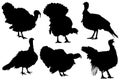 Detailed turkey silhouette set