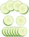 Detailed vector illustration of cucumber slices