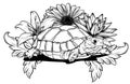 Detailed vector illustration of a generic tortoise land turtle in subtle greens.