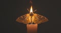 Illustration of a moth with flame on its back sitting on a candle in vector style Royalty Free Stock Photo