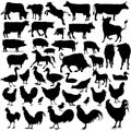 Detailed Vectoral Farm Animal Silhouettes Royalty Free Stock Photo