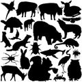 Detailed Vectoral Wild Animal Silhouettes