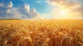 detailed and vibrant image of a vast wheat field, capturing the essence of a serene