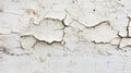 White Painted Wall Shows Extensive Cracking and Peeling Royalty Free Stock Photo