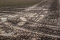 Detailed view on agricultural grounds with tire tracks Royalty Free Stock Photo