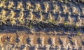 Detailed view on agricultural grounds with tire tracks Royalty Free Stock Photo