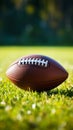 Detailed view American football on lush green grass, copy space