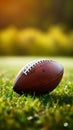 Detailed view American football on lush green grass, copy space