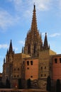 Detailed view ancient gothic Cathedral de Barcelona (Cathedral of the Holy Cross and Saint Eulalia) against blue sky
